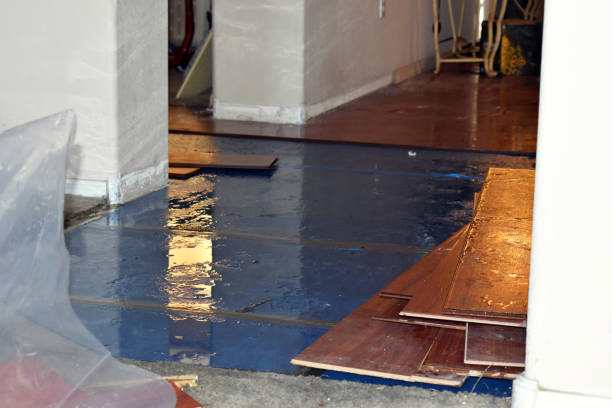 Professional Water Extraction technician working in Amelia, LA